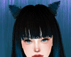 Kitty Blue Black Hair