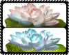 2 Lily pad Fillers