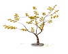 Golden Tree Pose
