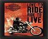 Harley Live to Ride Pic