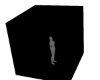 Gif Jan