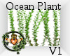 ~QI~ Ocean Plant V1