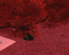 Red Field