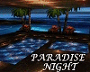 Paradise Night 
