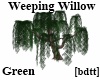 [bdtt]GrnWeepWillow Tree
