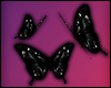 [ virgo butterflies ]