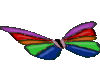 Rainbow Butterflies