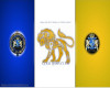 (Am) Lion Club Flag