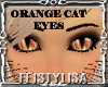 ! Orange Cat Eyes