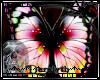(D)Lovelost Butterfly