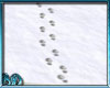 Footprints In Snow