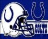 Colts Sticker