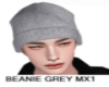 Hat Beanie Grey-MX1
