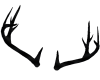 [Rob] Black Antlers
