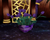 Sweet Purple Tulips