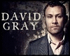 David Gray ♦