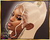 T| Arya -Mink
