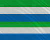 *Sierra Leone Flag*