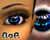 *NoA*Amazing Blue Eyes