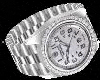 Platinum Watch