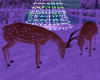 GP*Deer Christmas Winter