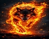yellow fire wolf Club