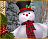 I~Frosty Snowman Pet