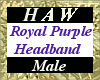 Royal Purple Headband M