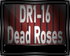 DEAD ROSES