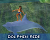 (PDD)Waterpark Dolphin R
