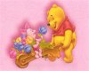 Winnie Pooh Swing pink