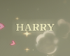 ♡ head