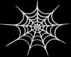 Spider WebSticker