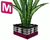 M| WILLOW PLANT