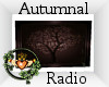 ~QI~ Autumnal Radio