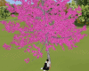 [TE]beautiful Sakura
