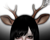 ! baby reindeer couple