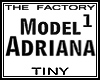 TF Model Adriana1 Tiny