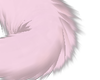 tail