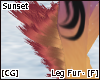 [CG] Sunset Leg Fur