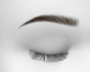 Babe Brows |nordic