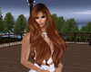 {F} Chartio Ginger