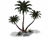 Beach Resort Palm
