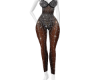 Leo Sexy Jumpsuit