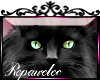 *R* Black Cat Sticker