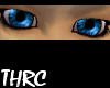 THRC Light Blue Eyes