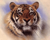 HW::Big Tiger