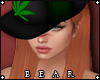 B | 420 Snapback Willow