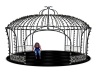 {LS} B/W Gazebo