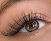 Long Soft Lashes